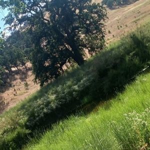 Meet your Posher, Joni